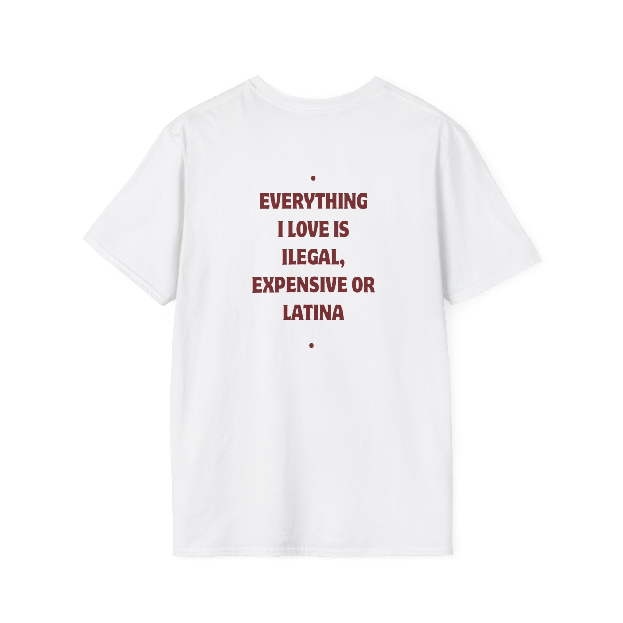 LATINA Everything I Love Is Illegal Expensive or Latina T-Shirt