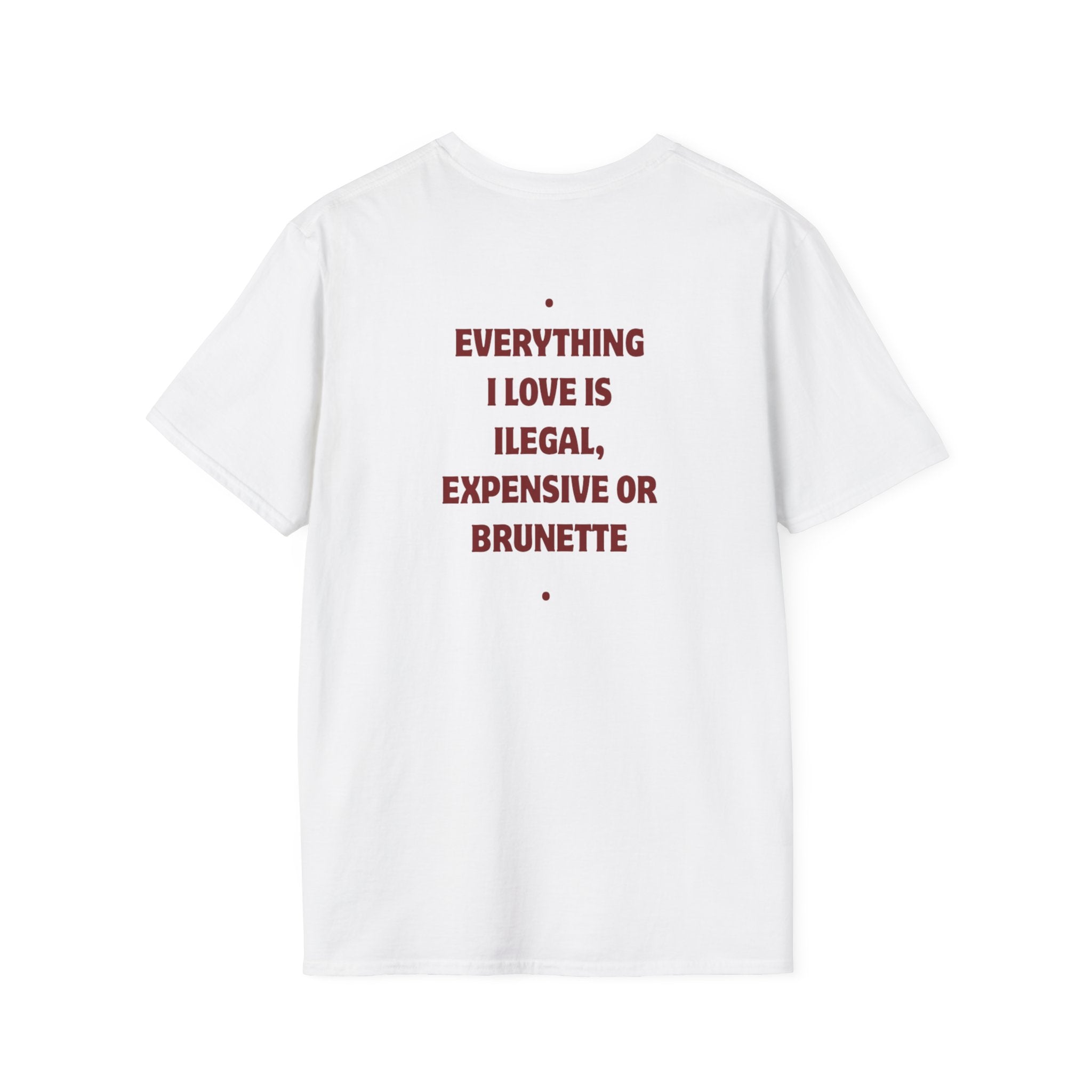 BRUNETTE Everything I Love Is Illegal Expensive Or Brunette T-Shirt